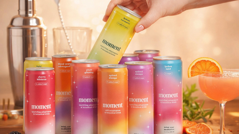 A variety of Moment botanical drink flavors surrounded by fruits