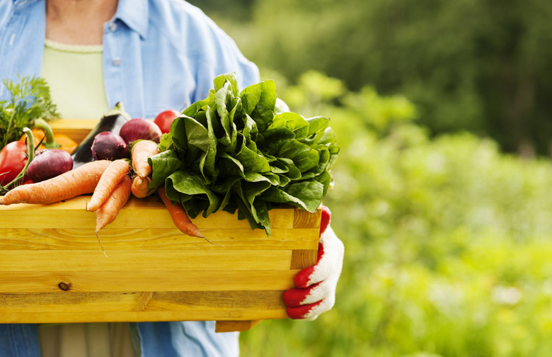 The Food-Secure Spend a Lot More on Food than the Food-Insecure