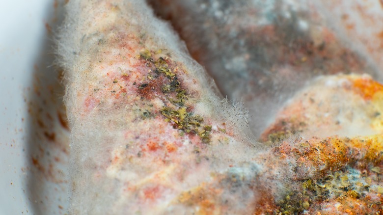 Rotten chicken with mold