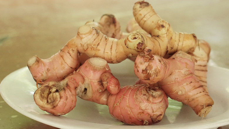 Galangal or Thai ginger on a white plate, placed on a wooden table