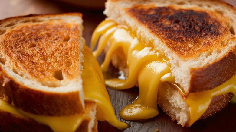 Grilled cheese sandwich