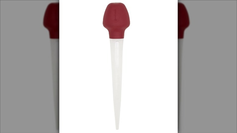 A GoodCook Everyday Baster on a white background