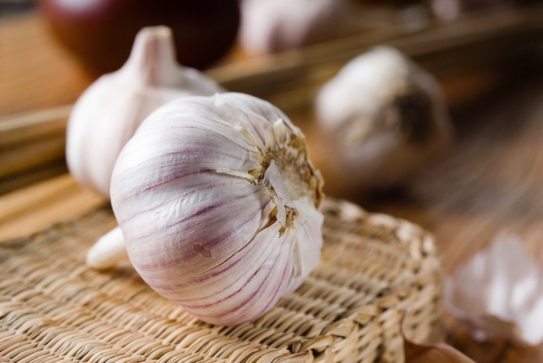  Garlic