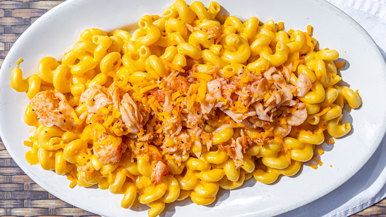 Lobster mac and cheese on a plate