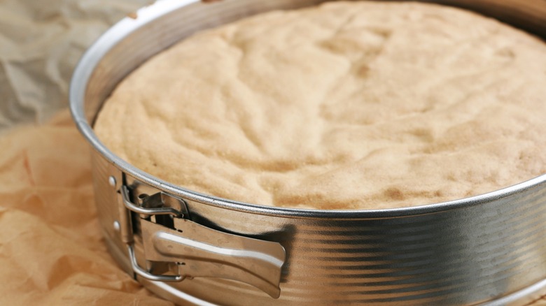 batter in a springform pan