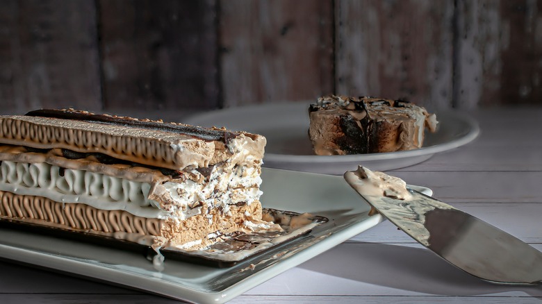 mocha ice cream cake getting melty
