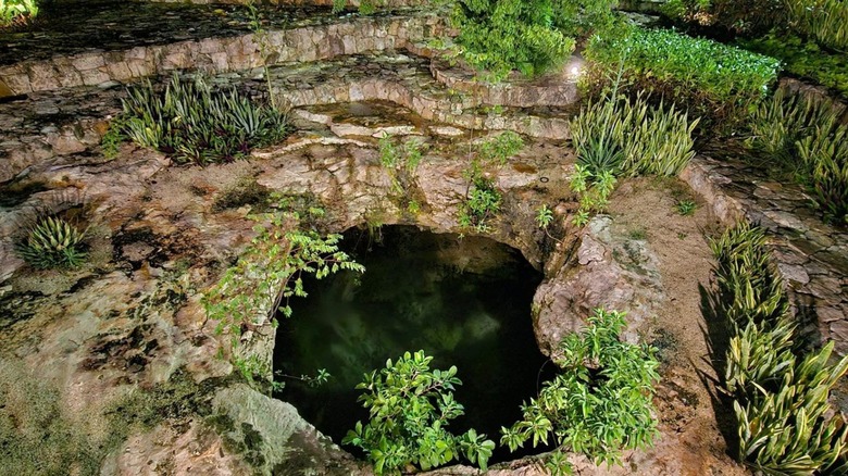 The cenote outside Merida's Costco, illuminated by lights at night