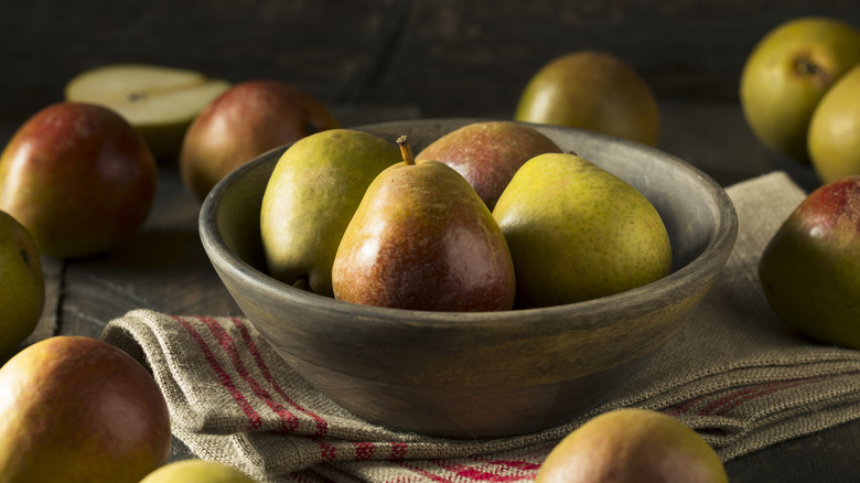 bowl of fresh seckel pears in a ceramic bowl, on a striped dish towel, with more pears in the background and foreground
