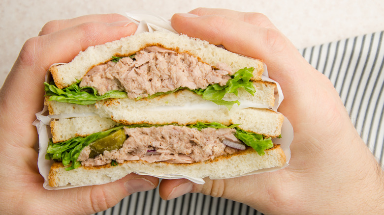 Close-up on hands holding a tuna salad sandwich