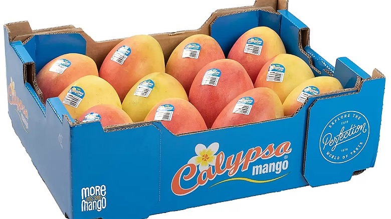a blue box of 12 Calypso mangos with stickers on each one