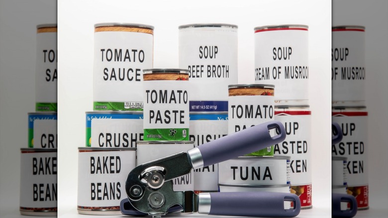 A selection of unbranded cans posed with a can opener against a white backdrop