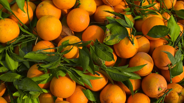 A bunch of oranges with leaves in a pile
