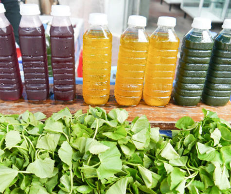 10 Ways to Do a Juice Cleanse Healthily