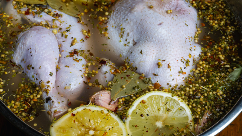 Chicken sits in a wet brine with herbs and citrus