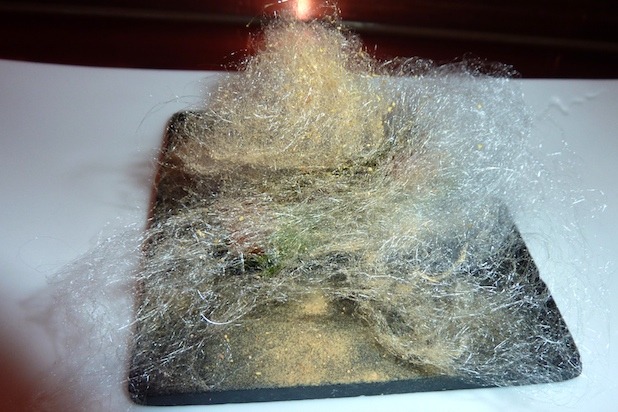 #27 minibar, Washington, D.C.