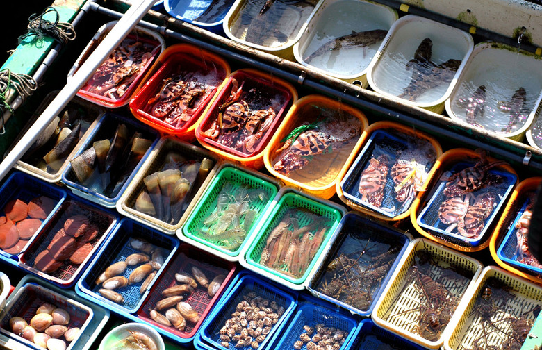 11 Best Cities Around the World for Seafood Lovers