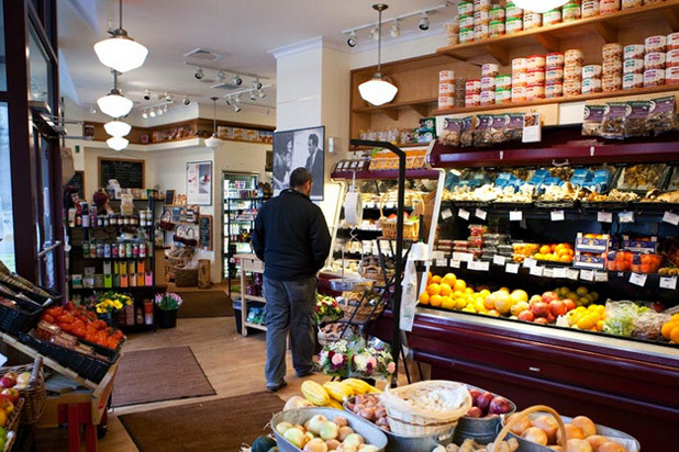 Hungry Native — Savenor's Cambirdge 