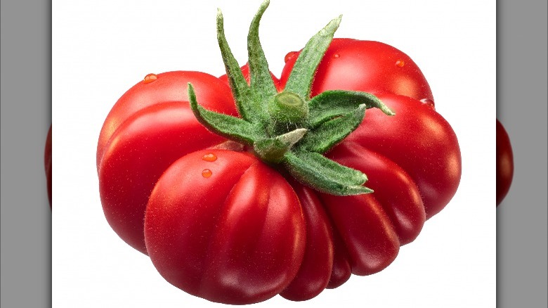 Costoluto tomatoe on white background