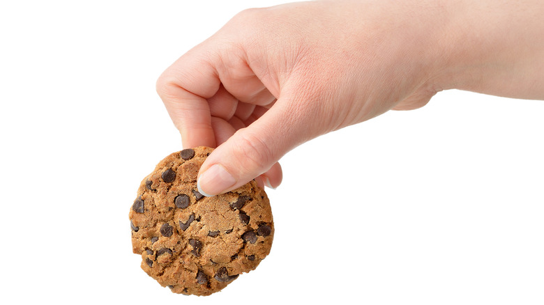 Hand holding chocolate chip cookie