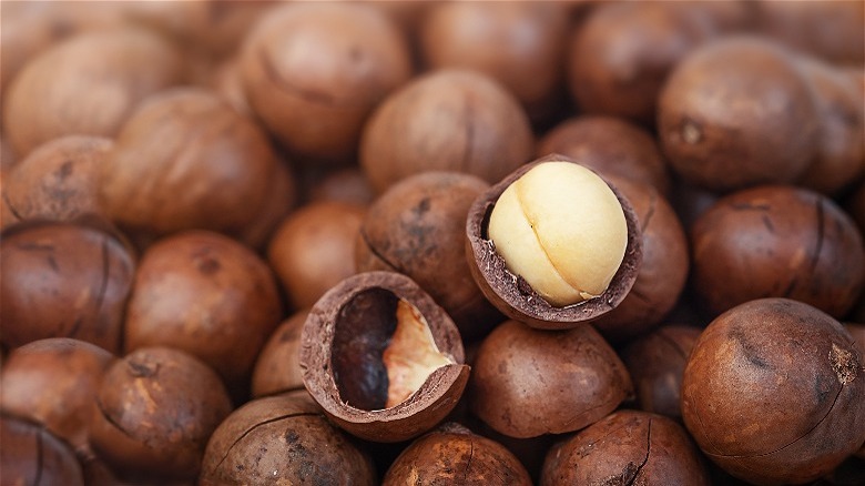 Pile of macadamia nuts