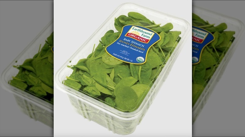 Container of spinach on white background