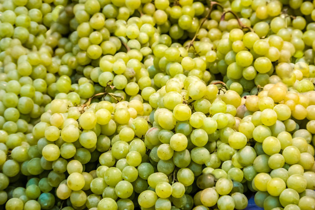 10) Most Grapes Eaten in Three Minutes