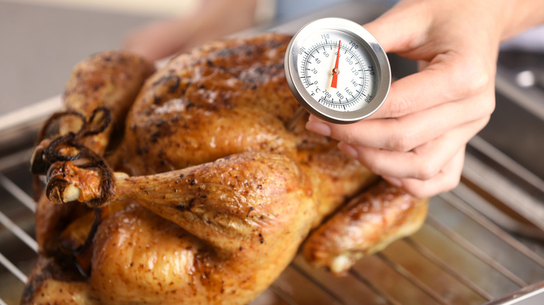 Chef using meat thermometer