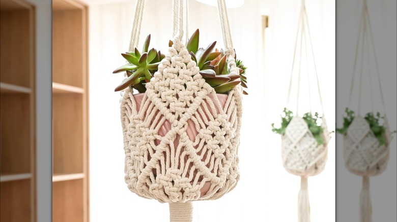 Two hanging macrame plant holders with plants