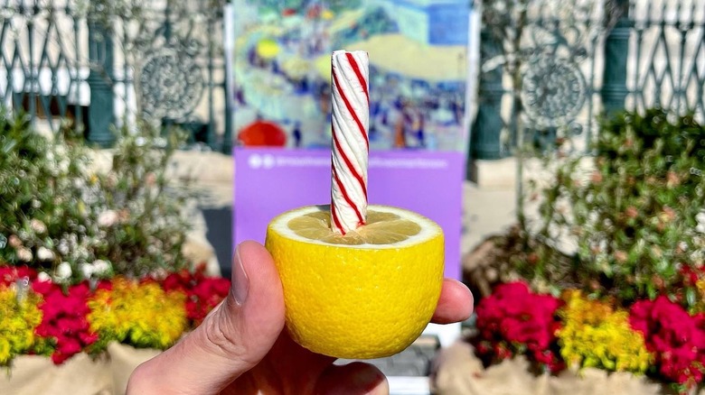 hand holding lemon stick