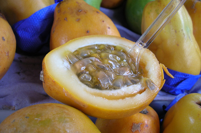 Passion Fruit 
