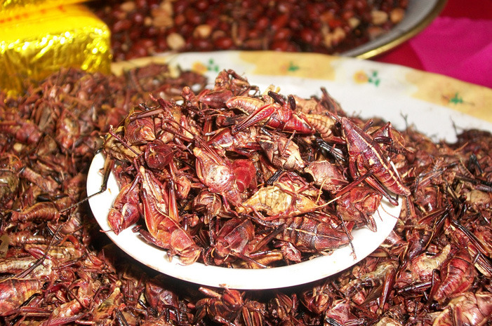 Chapulines 