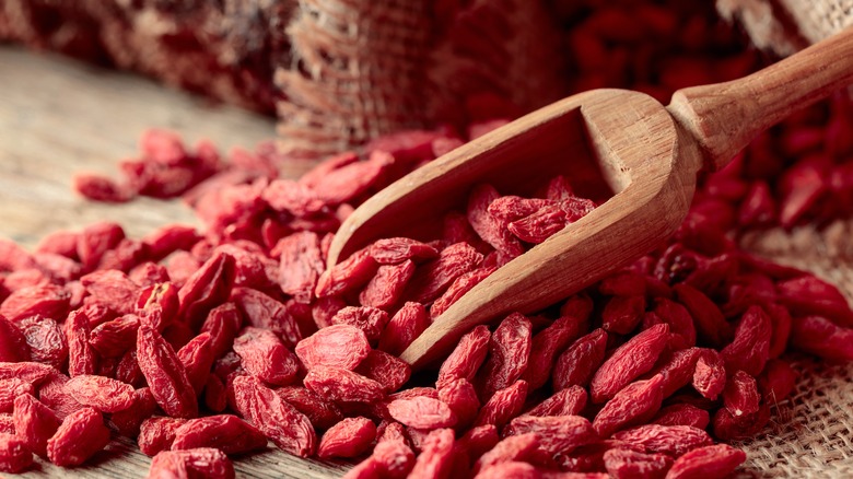 Dried goji berries scooped