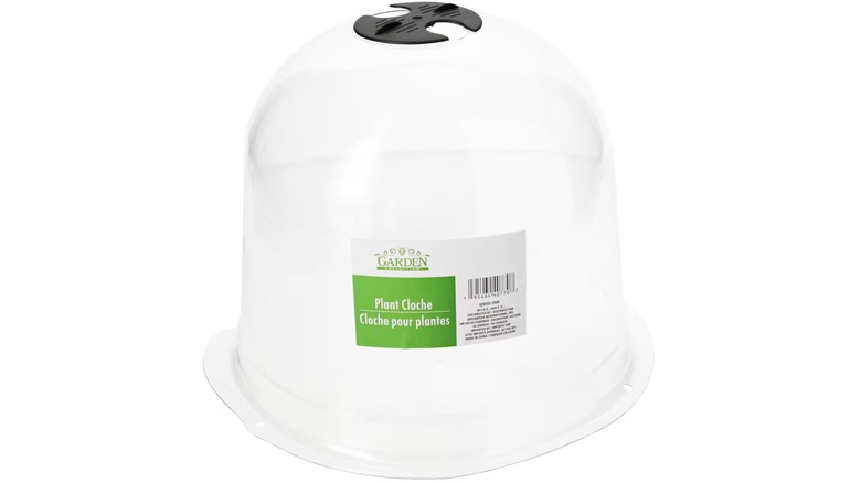 Plastic plant cloche