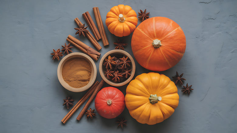 Pumpkins and spices on a slate background