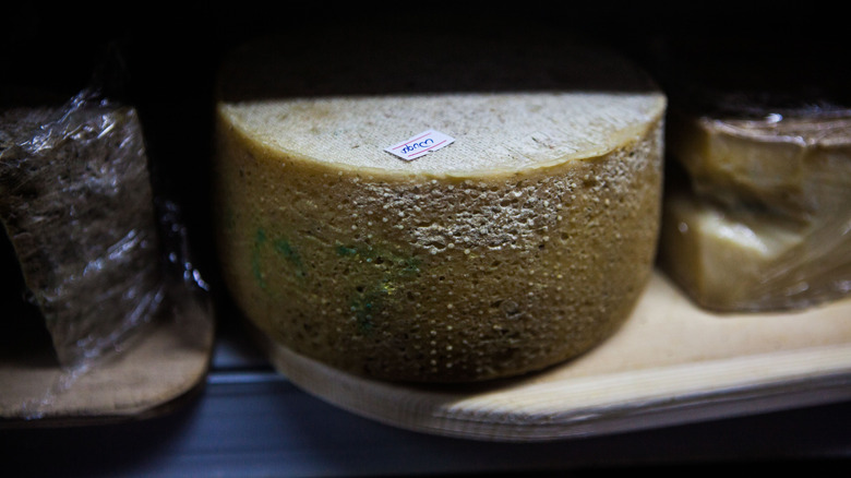 A wheel of Cheshire cheese on a shelf