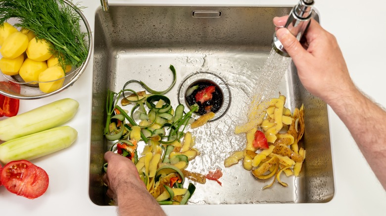 Fruit and vegetable peels in the sink