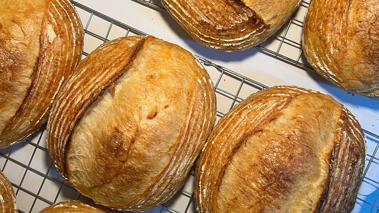 Soudrough loaves on wire rack