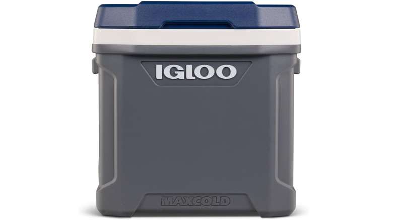 Igloo Maxcold Latitude Cooler in dark blue on a white background
