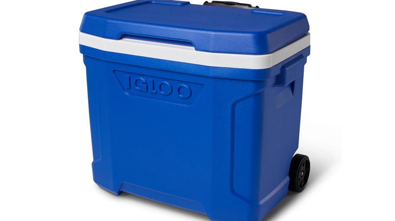 Igloo Profile II Roller Cooler With Wheels in blue on a white background