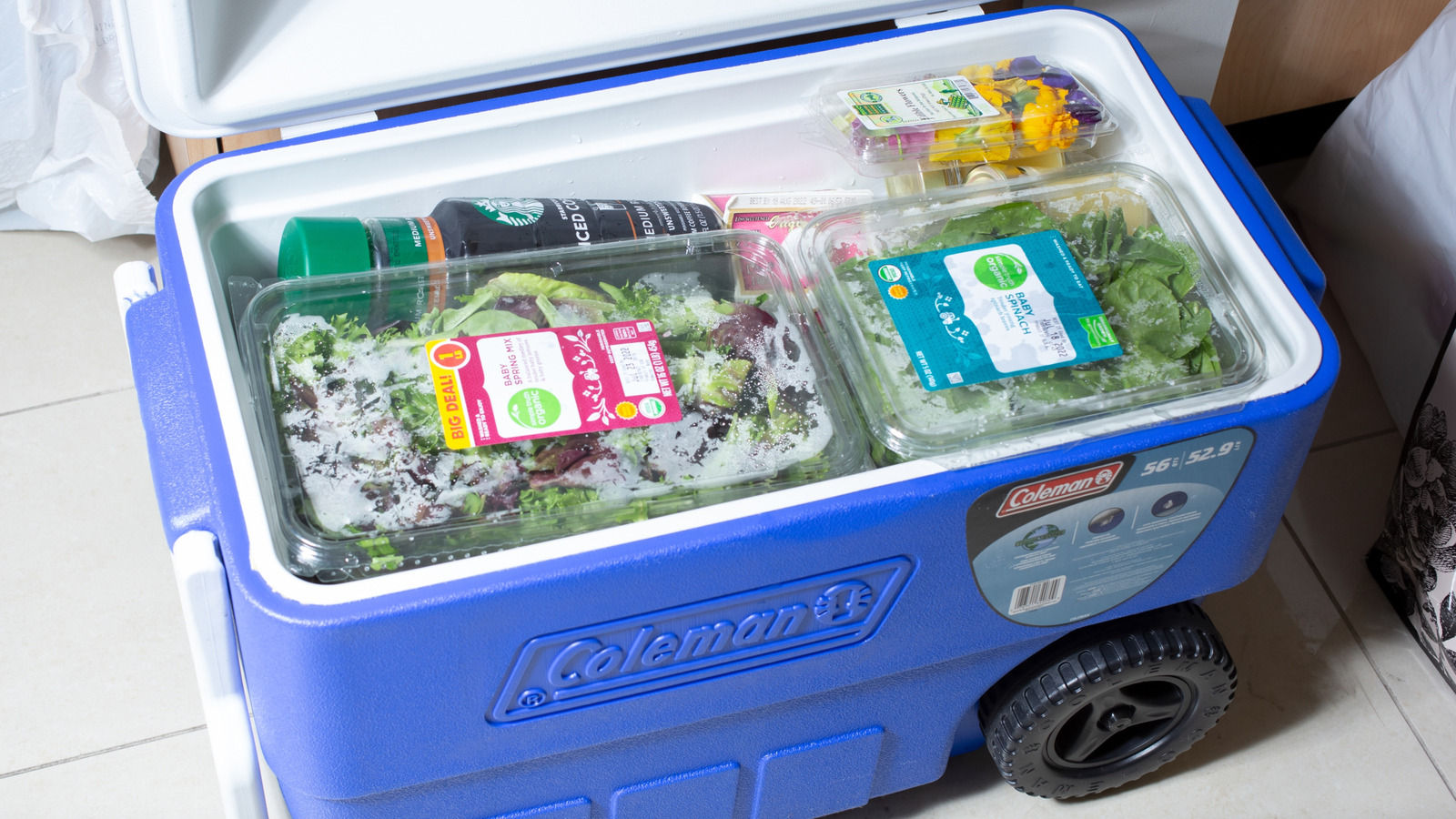 12 Highest-Rated Wheeled Coolers Under $100 On Amazon - Daily Meal