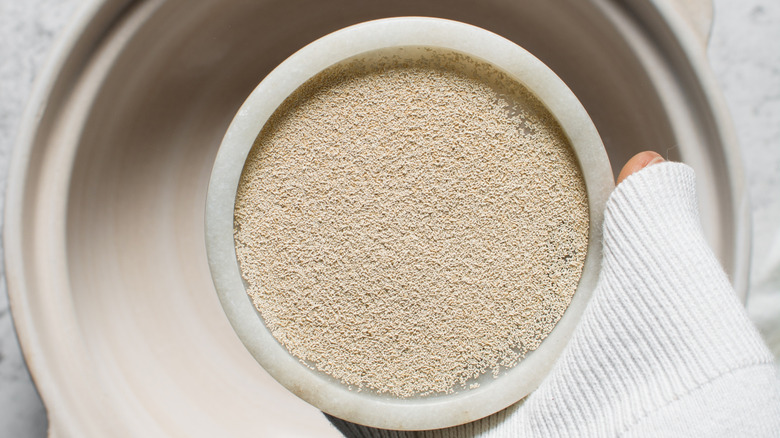 A bowl of dry yeast held by a person