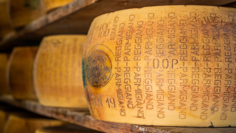 Aging wheels of Parmigiano Reggiano