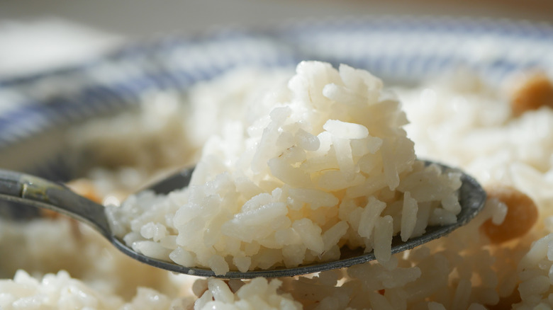 White rice on a spoon