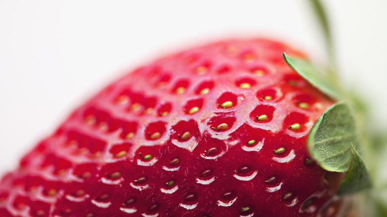 close up of a strawberry