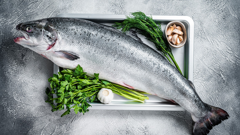 whole shiny fish with herbs