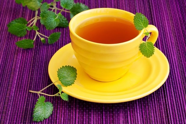 Lemon Balm Tea