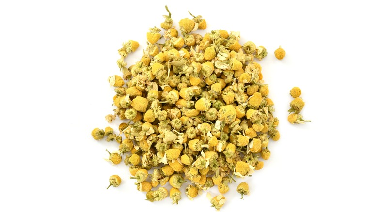 Chamomile buds