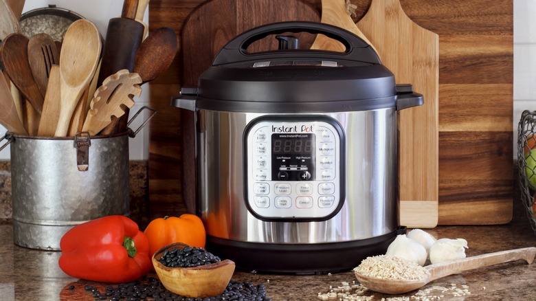 https://www.thedailymeal.com/img/gallery/12-things-you-should-never-cook-in-your-instant-pot/intro-1668009590.jpg