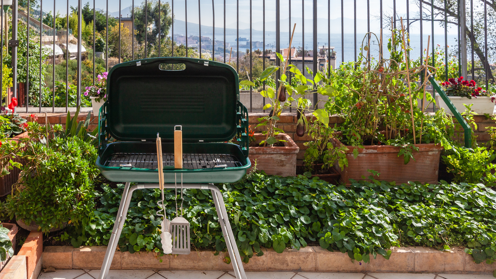12 Tips You Need When Grilling With Charcoal - Vimarsana News