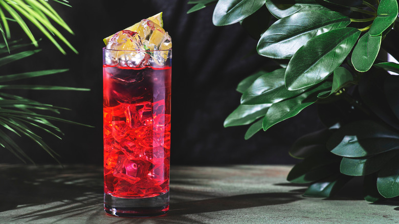 El Diablo cocktail surrounded by tropical plants